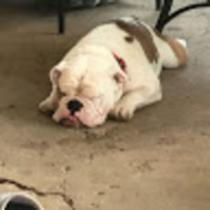 Meet your Posher, Jason